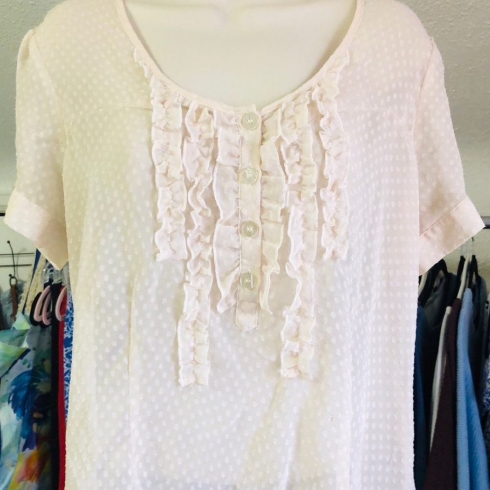 Sheer ruffled blouse **please read**